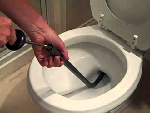 WC le furet
